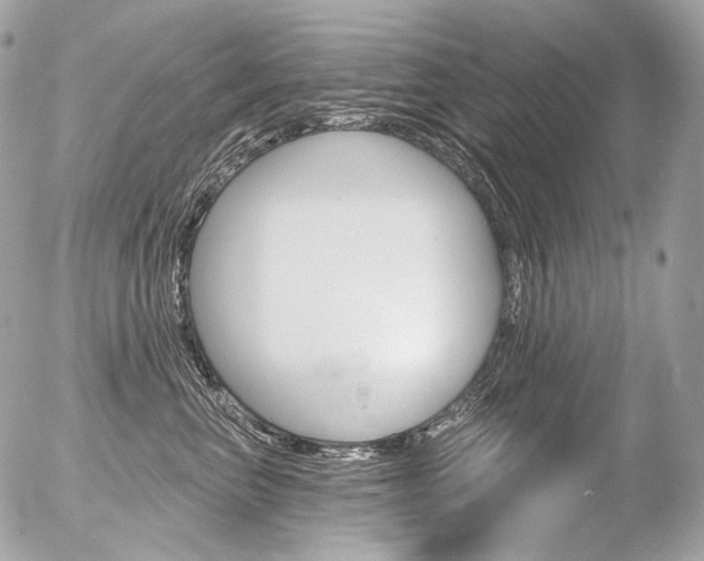 X0000056370667200508260922