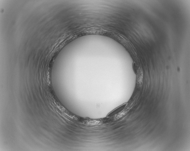 X0000056370669200508260922
