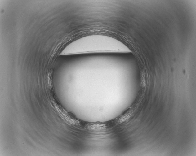 X0000056370670200508260922
