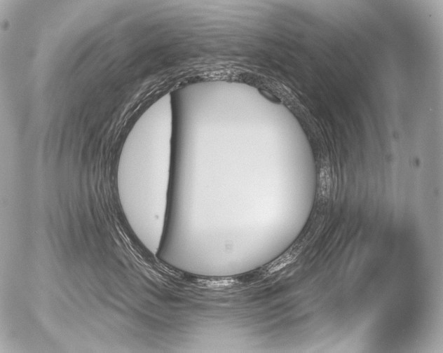 X0000056370671200508260922