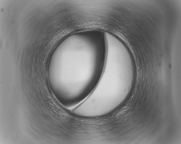 X0000056370673200508260921