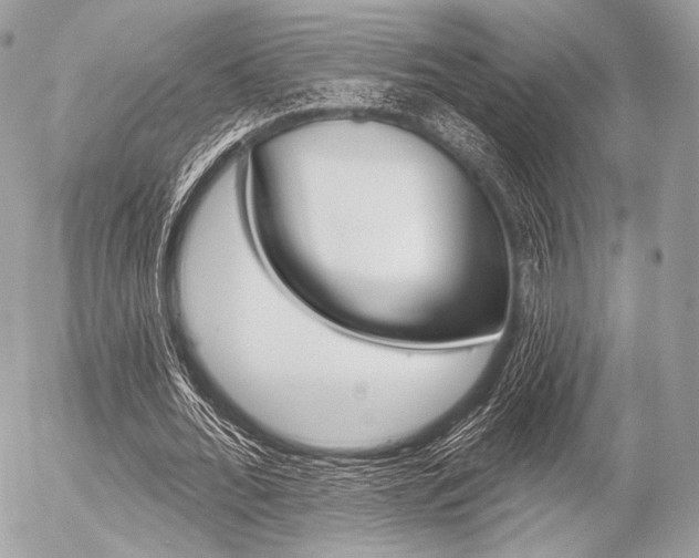 X0000056370676200508260921