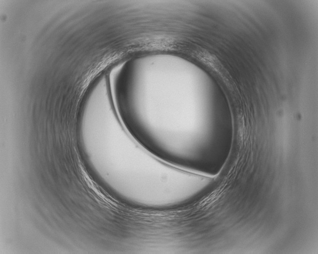 X0000056370677200508260921
