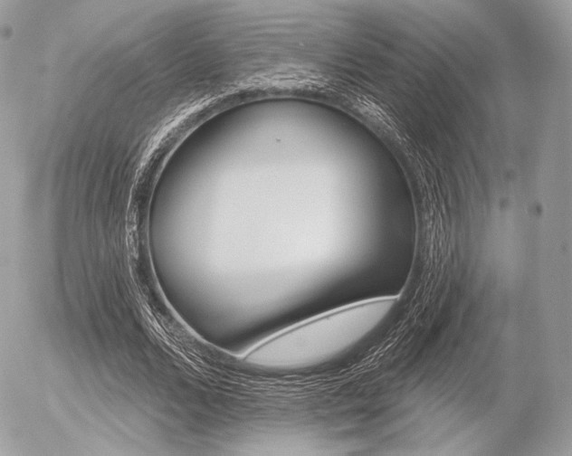 X0000056370680200508260921