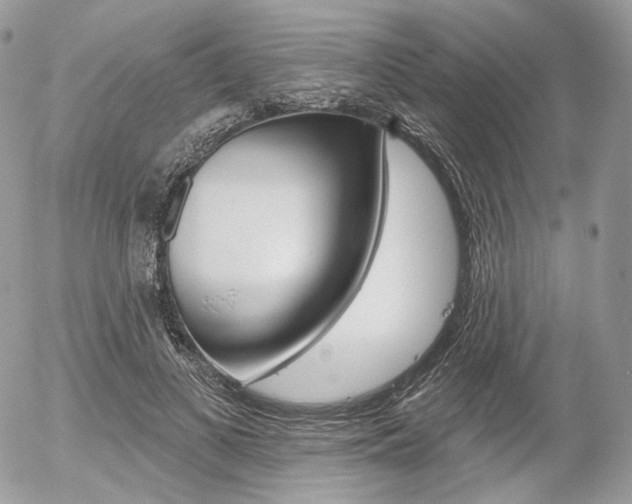 X0000056370693200508260921