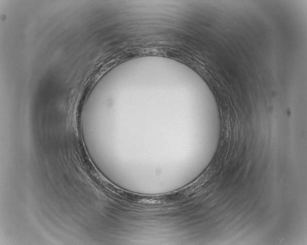 X0000056370699200508260921