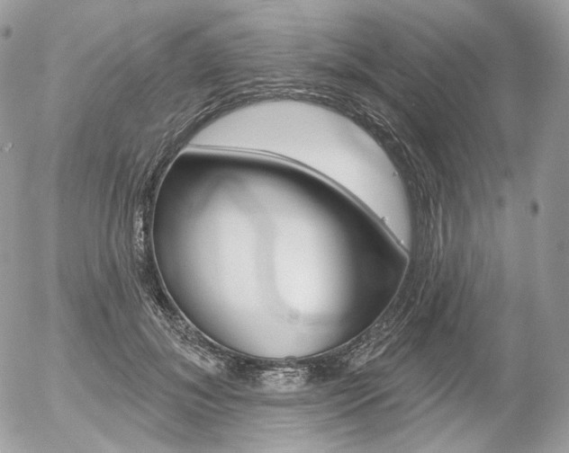 X0000056370700200508260921