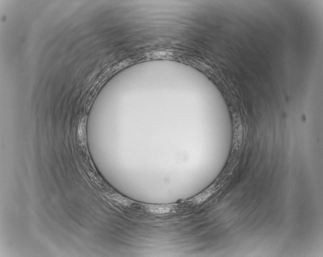 X0000056370709200508260920