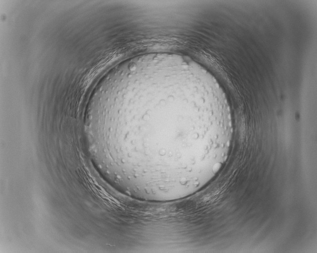 X0000056370721200508260919