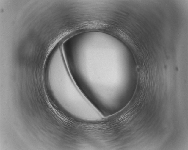 X0000056370722200508260919