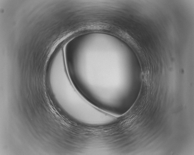 X0000056370724200508260919