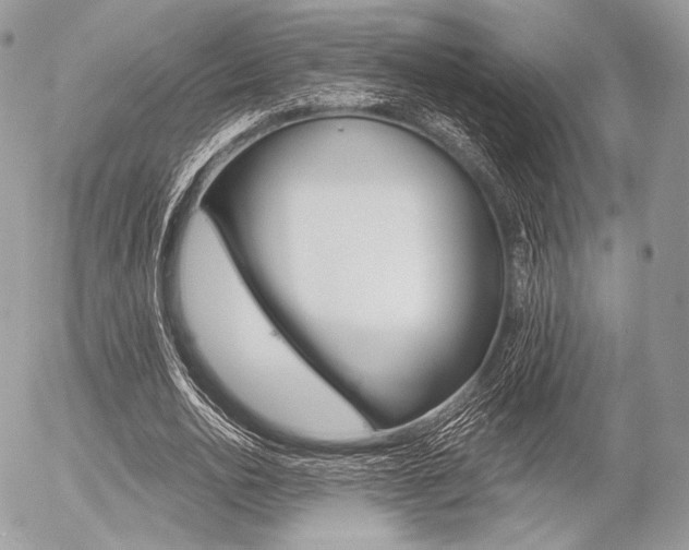 X0000056370726200508260920