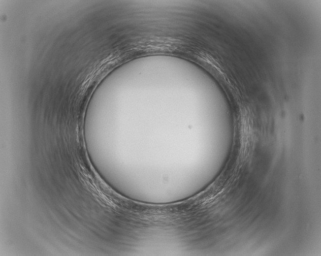 X0000056370729200508260920