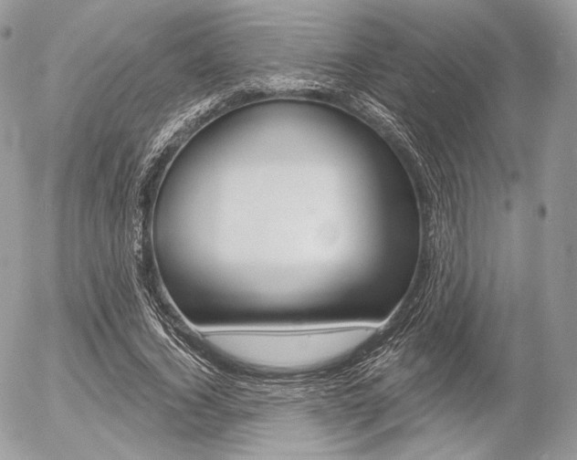 X0000056370732200508260920