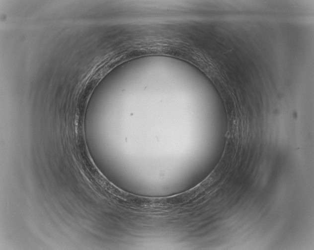 X0000056370739200508260920