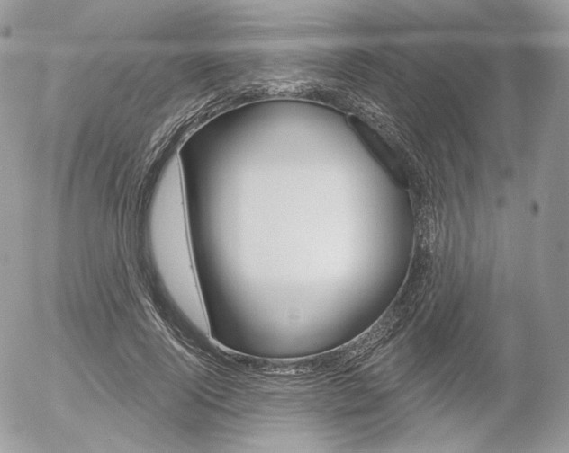 X0000056370740200508260920