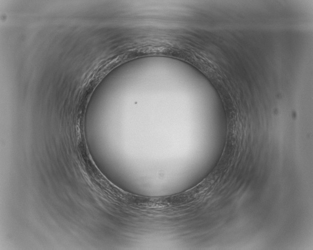 X0000056370743200508260920