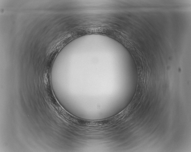 X0000056370746200508260920