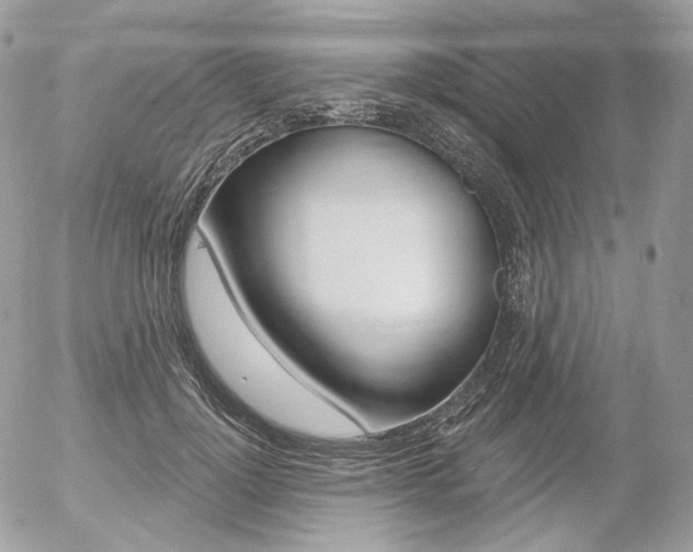 X0000056370748200508260920