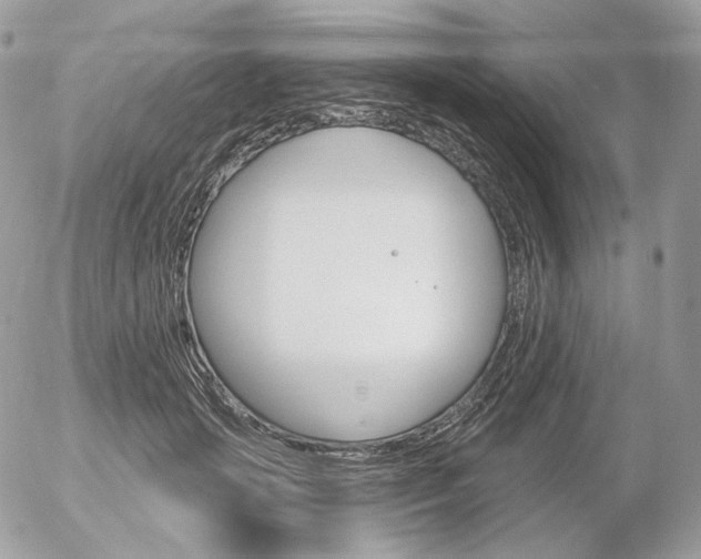 X0000056370749200508260920
