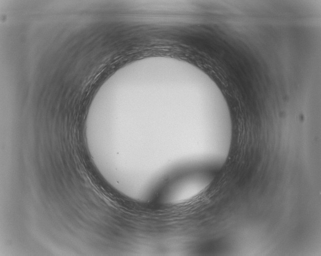 X0000056370750200508260920