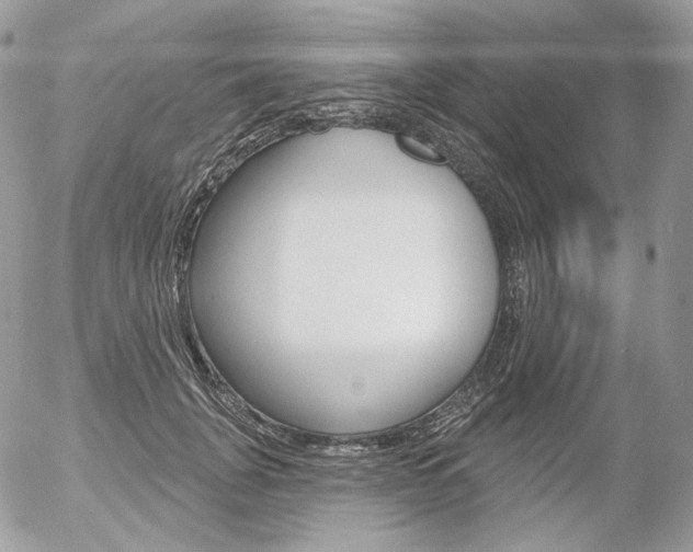 X0000056370751200508260920