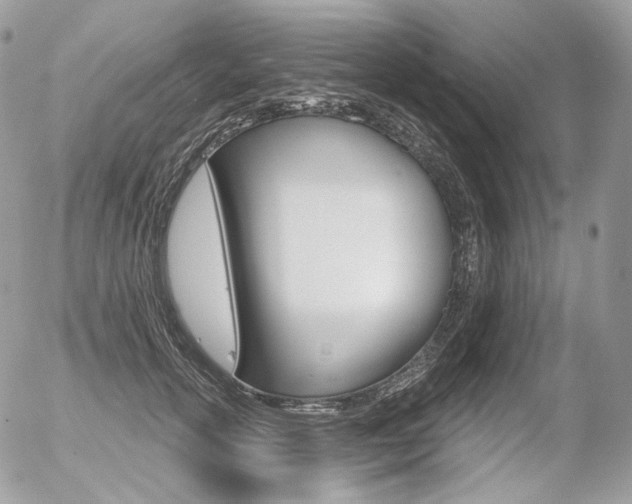 X0000056370754200508260920