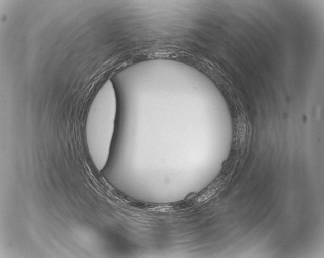 X0000056370761200508260920