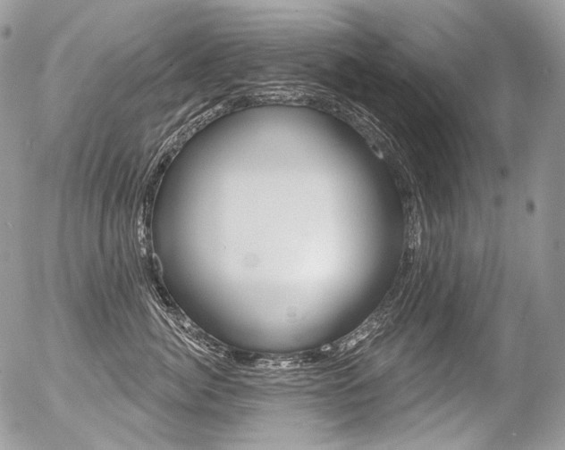 X0000056370764200508260920