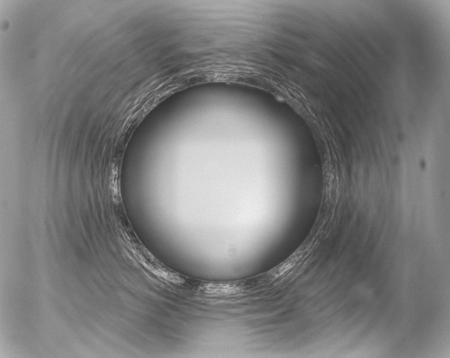 X0000056370766200508260920