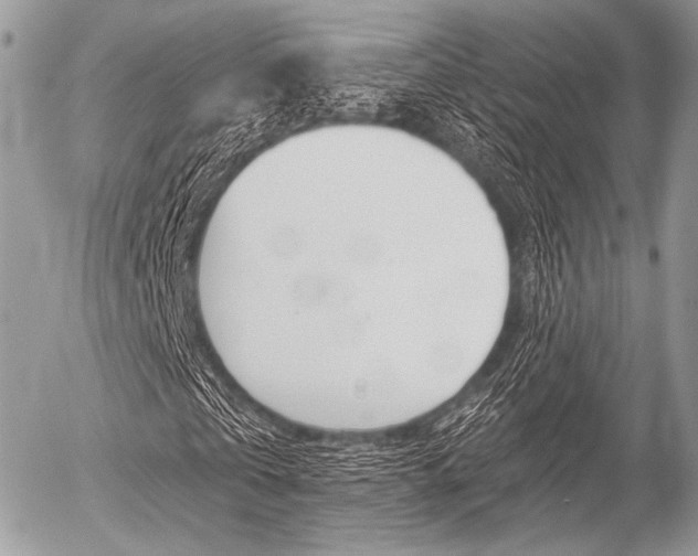 X0000056370769200508260919