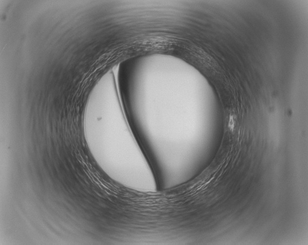 X0000056370771200508260919