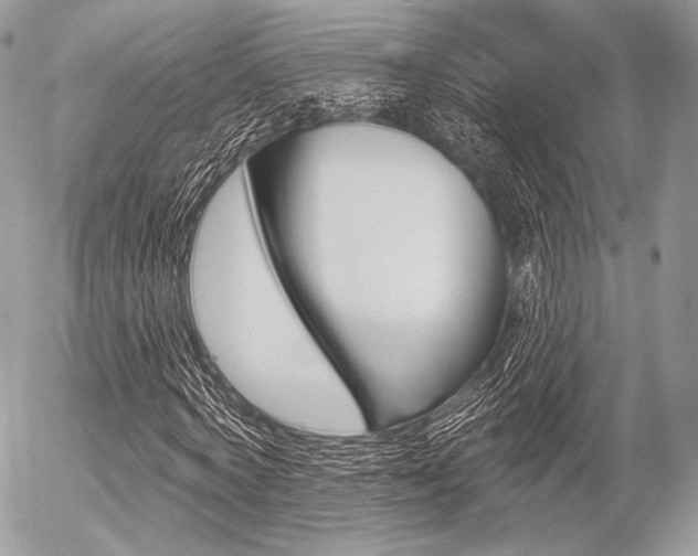 X0000056370772200508260919