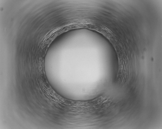 X0000056370773200508260919