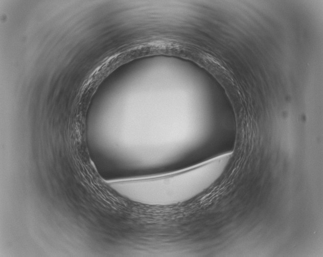 X0000056370776200508260919