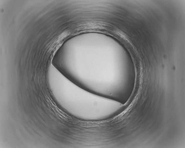 X0000056370777200508260919