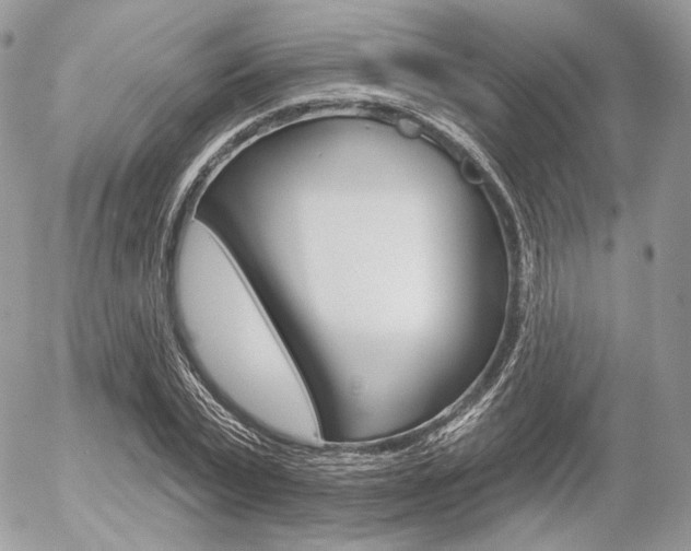 X0000056370783200508260919