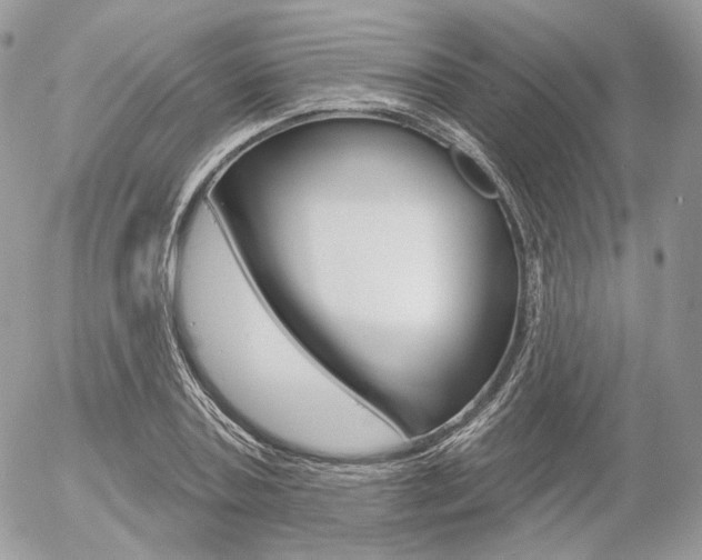 X0000056370787200508260919