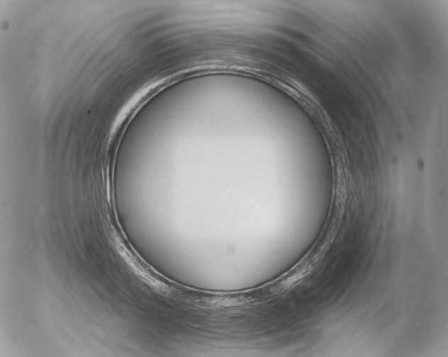 X0000056370796200508260919