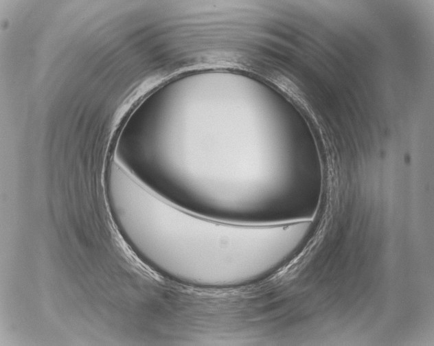 X0000056370797200508260919