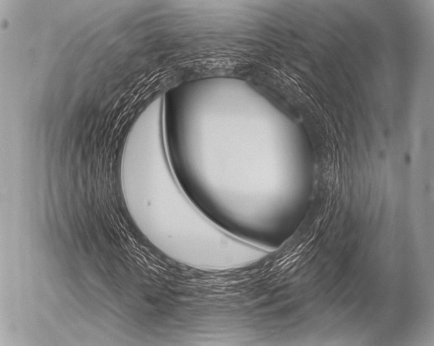 X0000056370818200508260918