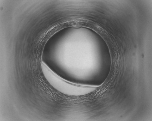 X0000056370822200508260918
