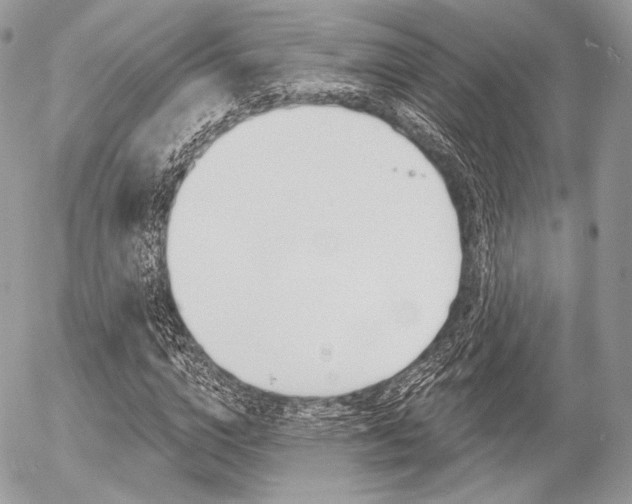 X0000056370824200508260918
