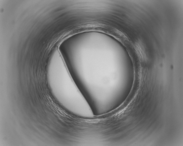 X0000056370825200508260918