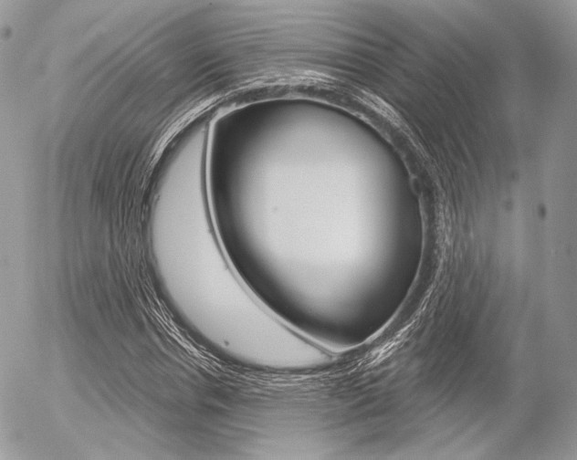 X0000056370826200508260918