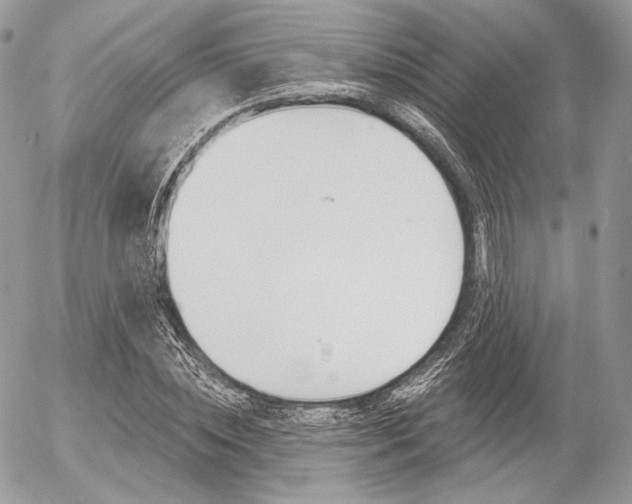 X0000056370828200508260918