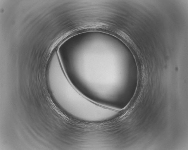 X0000056370834200508260918