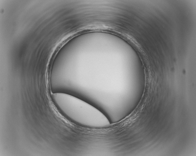 X0000056370840200508260918