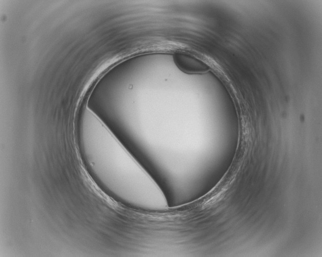 X0000056370843200508260918