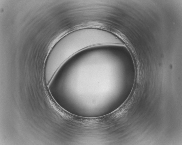 X0000056370850200508260918